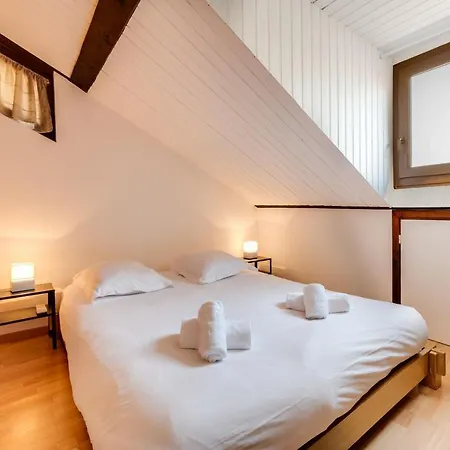 Le Triplex Carnot - With Air Conditioning For 5 People Апартаменты Анси