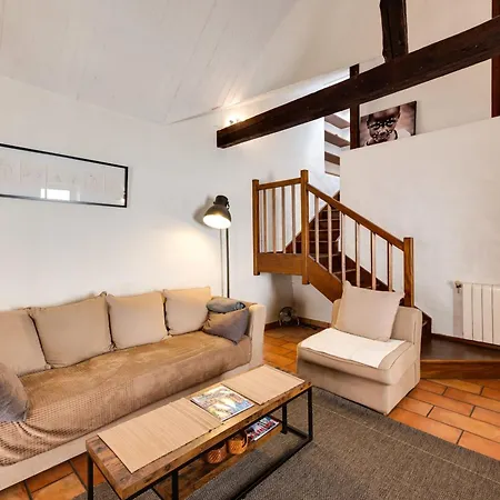 Le Triplex Carnot - With Air Conditioning For 5 People * Annecy